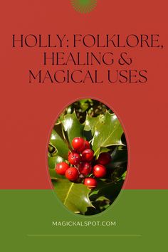 Explore the mystical world of holly! Dive into ancient folklore, uncover its healing properties, and learn about its magical uses. This article provides a unique insight into the cultural and medicinal significance of this fascinating plant. Click to discover more! 🌿 #Holly #Folklore #Healing #Magic Holly Magical Properties, Holly Witchcraft, Herb Preservation, Plant Symbolism, British Folklore, Holly Flower, Holly Plant, Witchy Kitchen, Holly Bush