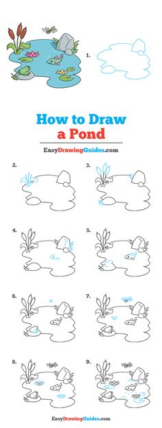 how to draw a pond with easy drawing guides for kids and beginners - step by step instructions