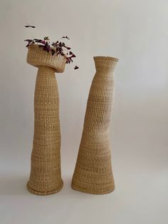 two tall vases with flowers in them sitting side by side on a white surface