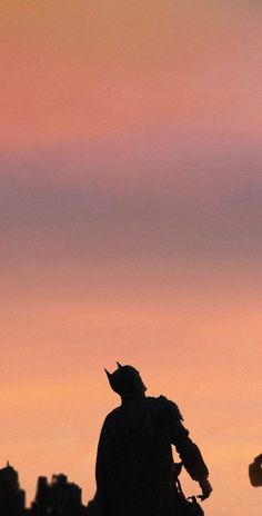 a man with a bird on his shoulder standing in front of the sky at sunset