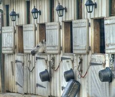 several horse stalls are lined up against the wall