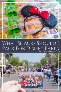 what snacks should i pack for disney parks?