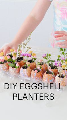 a person placing flowers in small plastic containers