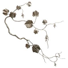 a branch with leaves and berries hanging from it's side on a white background