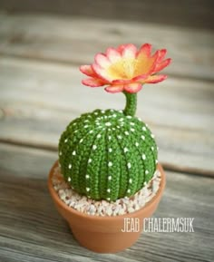 a crocheted cactus in a clay pot with white speckles and a pink flower