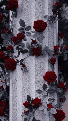 red roses are growing on the side of a pillar with silver and white stripes in the background