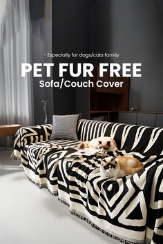 a dog laying on top of a couch covered in black and white zebra print covers