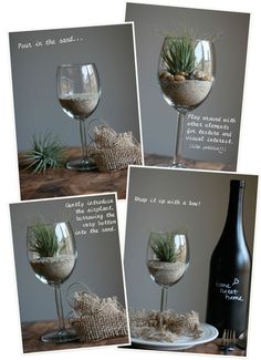 there are three pictures of wine glasses with plants in them