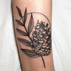 a tattoo on the leg of a person that has a pine cone and leaves in it