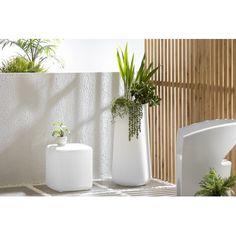 three white vases with plants in them sitting on a table next to a wall