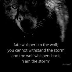 a wolf with the quote fate whispers to the wolf you cannot't understand the storm and the wolf whispers back, i am the storm