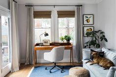 a dog laying on the couch in front of a desk