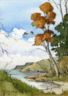 a watercolor painting of a tree near the shore with clouds in the sky behind it