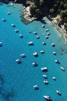 several boats floating in the blue water next to each other