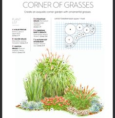 the corner of grasses is shown in this diagram