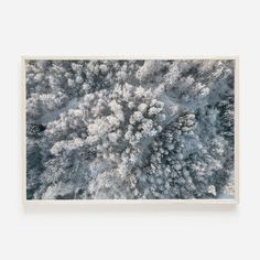 an aerial view of snow covered trees from above