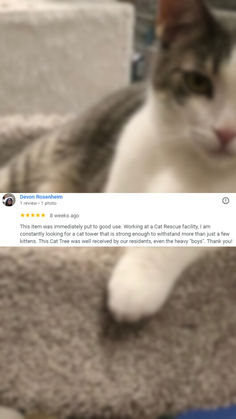 Another happy customer! 😊💫 Nothing makes us happier than hearing how much you love our products. Thank you for sharing your experience! ❤️ #CustomerLove #HappyReview #ojcommerce Cat Tower, Cat Rescue, Thank You