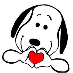 a black and white dog holding a red heart