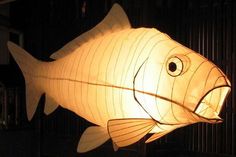 a paper fish is lit up in the dark