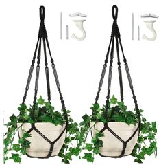 two hanging planters with green plants in them