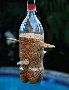 a bird feeder hanging from the side of a swimming pool filled with sand and birdseed