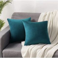 two teal pillows on a gray couch next to a potted plant and white blanket