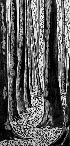 black and white drawing of trees in the woods