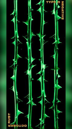 the spines of a plant are glowing green