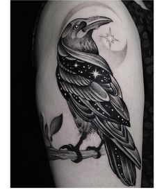 a black and white bird sitting on top of a branch with the moon in the background