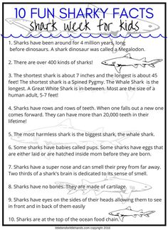 shark fact worksheet for kids to help students learn how to use sharks in their writing