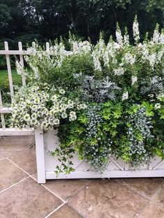 a planter filled with white flowers and greenery