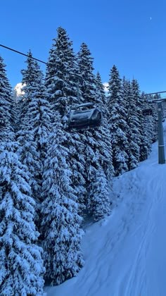 a ski lift going up the side of a snow covered mountain next to evergreen trees