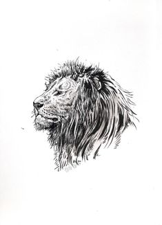 a black and white drawing of a lion