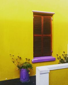 a potted plant sitting in front of a yellow building with shutters on the windows