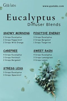 eucalyptus essential oil Eucalyptus Essential Oil Blends, Oils For Diffuser, Essential Oil Perfumes Recipes, Aromatherapy Humidifier