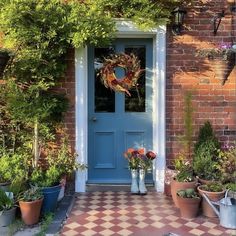 a blue front door surrounded by potted plants