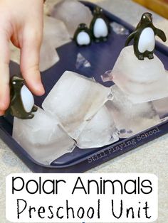 a child is playing with an ice tray filled with penguins and melting water in it