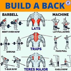 a poster with instructions on how to build a back