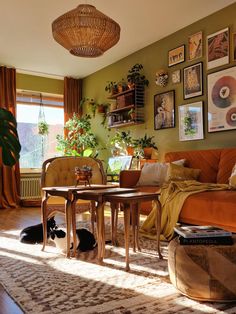 a living room filled with furniture and lots of plants