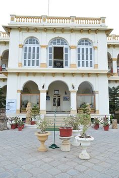 a large white building with many potted plants in front of it and a statue on the outside