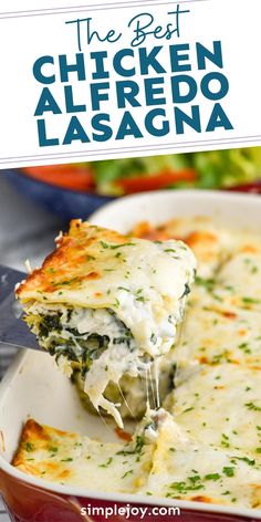 the best chicken alfredo lasagna in a casserole dish