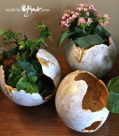 three pots with plants in them sitting on a table