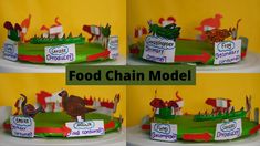 four pictures of food chain model with animals on top and in the background, there is a sign that says food chain model