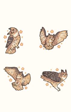 four owls are flying in the air with their wings spread out and stars around them