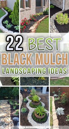 the best black mulch landscaping ideas that you can use in your yard or garden