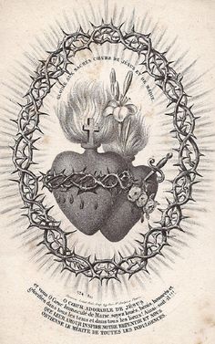 an image of a heart with barbed wire around it and flowers on the side, surrounded by other symbols