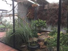 a caged in area with various plants and rocks on the ground next to it