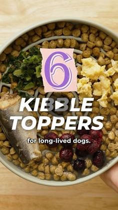 50K views · 6.6K reactions | 6 Easy Kibble Upgrades for Healthier Dogs is now available on our YouTube channel! ❤️🐾 #thebkpets | The BK Pets | Dog & Cat Tips