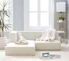 a white couch sitting in front of a window next to a tall potted plant