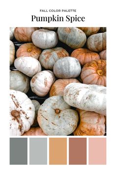 pumpkins with different colors in the background and text that reads, fall color palette pumpkin spice